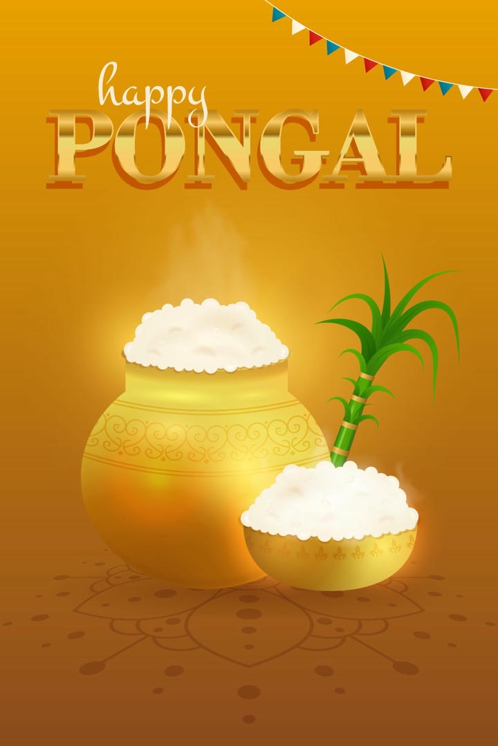 pongal festival photos