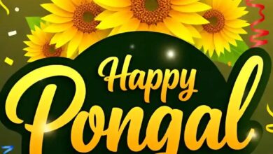 thai pongal festival