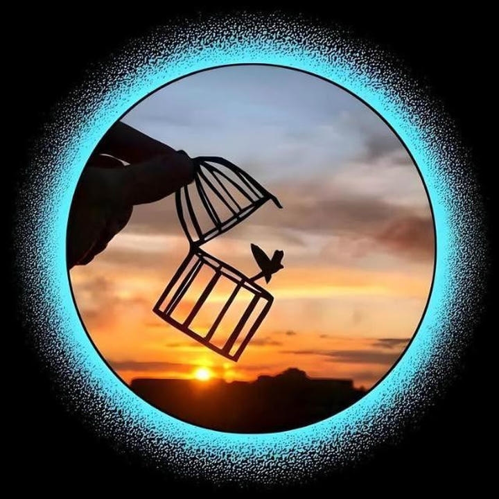 whatsapp dp photo gallery