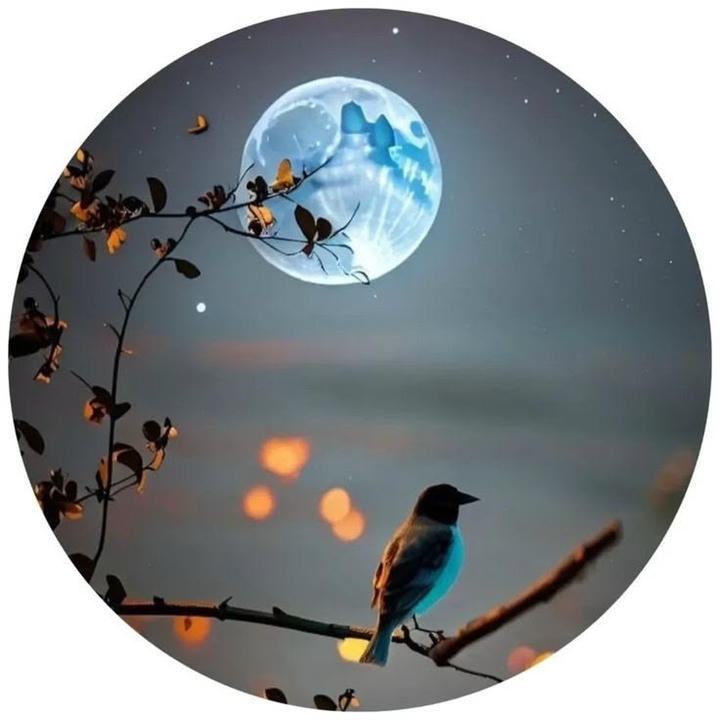 whatsapp dp photo hd