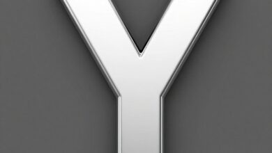 Y name dp