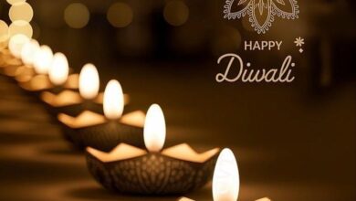 Diwali Festival 2025 Decoration