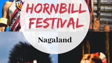 Hornbill Festival images