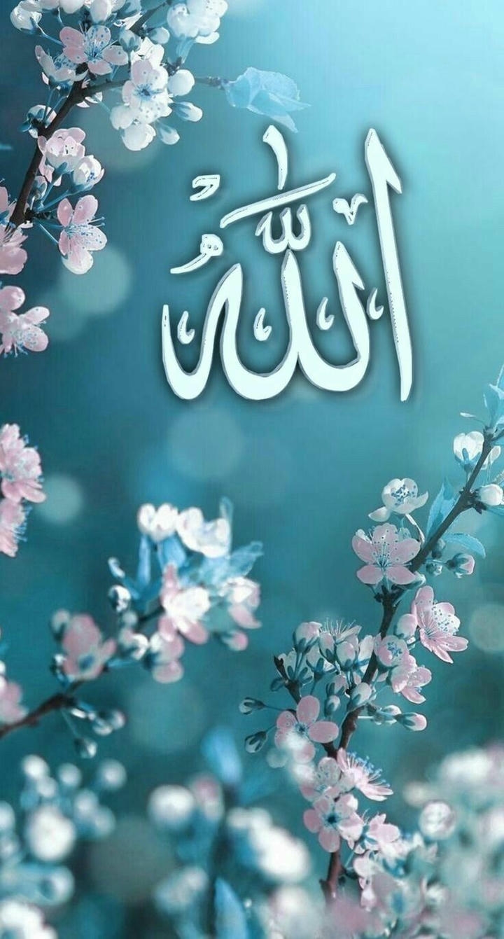 beautiful Allah name DP English with flowers