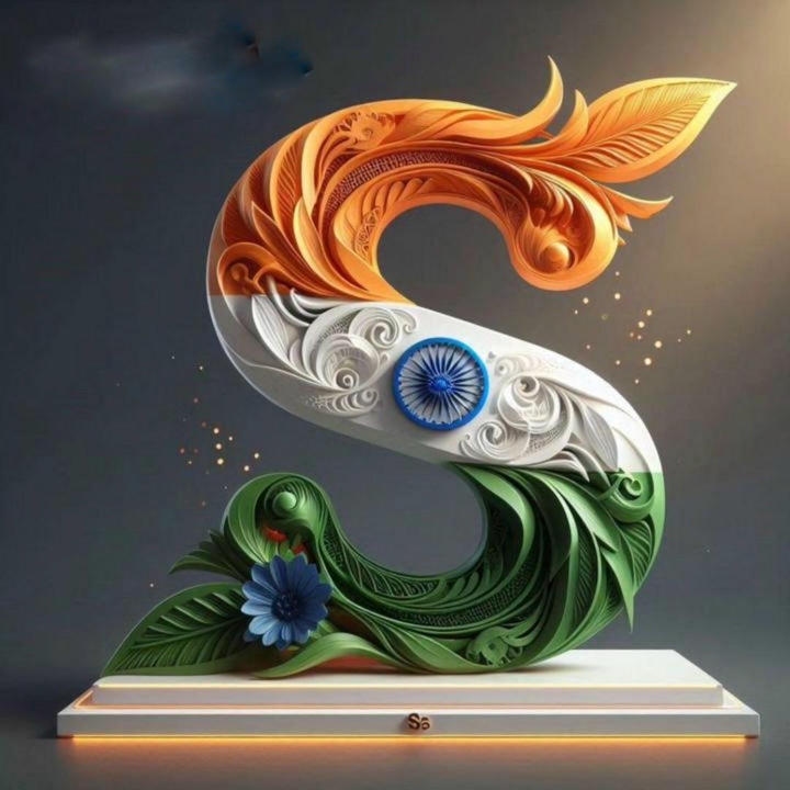 beautiful s name indian flag dp