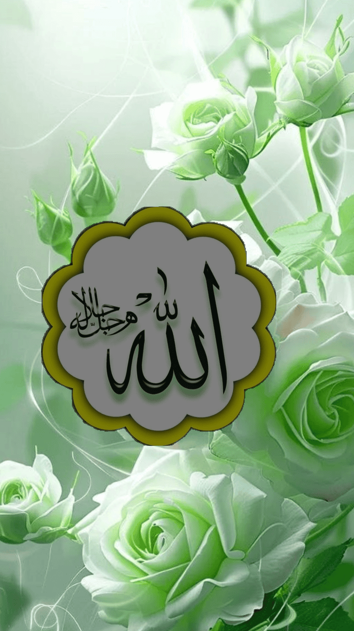 flower beautiful allah name dp english 4K