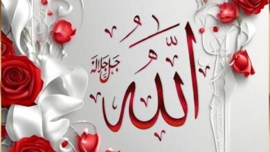 flower beautiful allah name dp english aesthetic