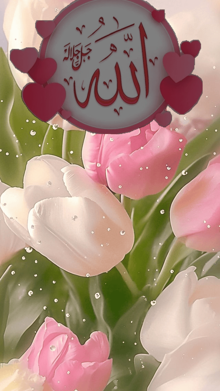 flower beautiful allah name dp english for Instagram