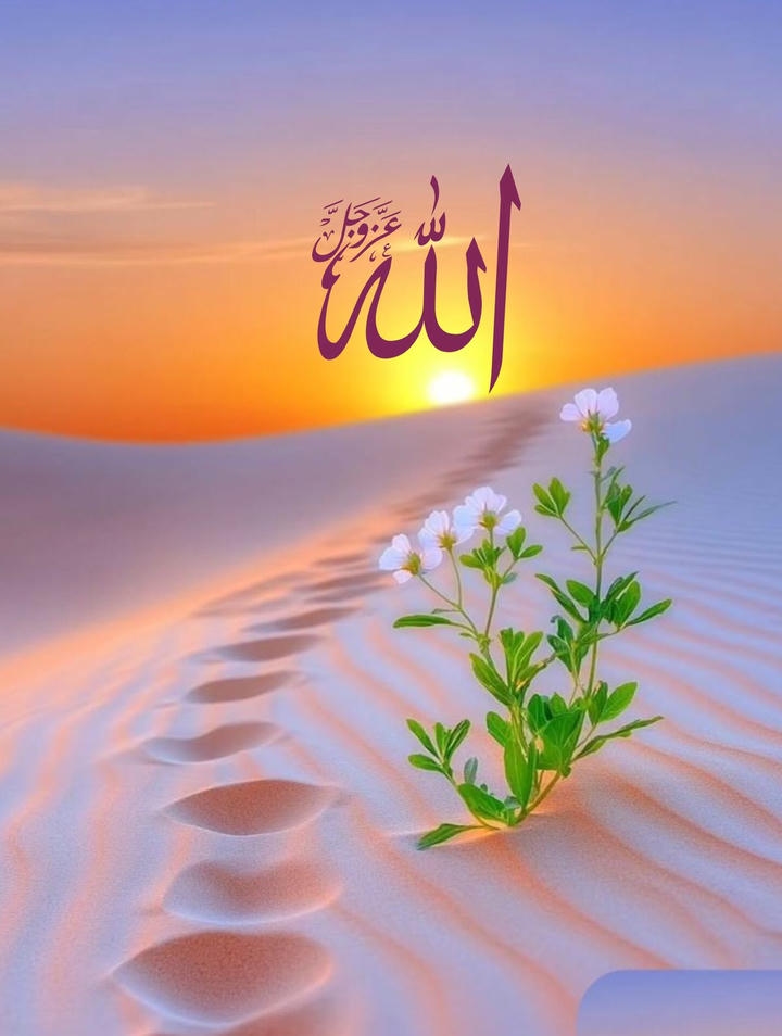 golden Allah name flower DP