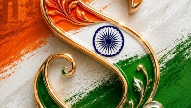 s letter patriotic dp