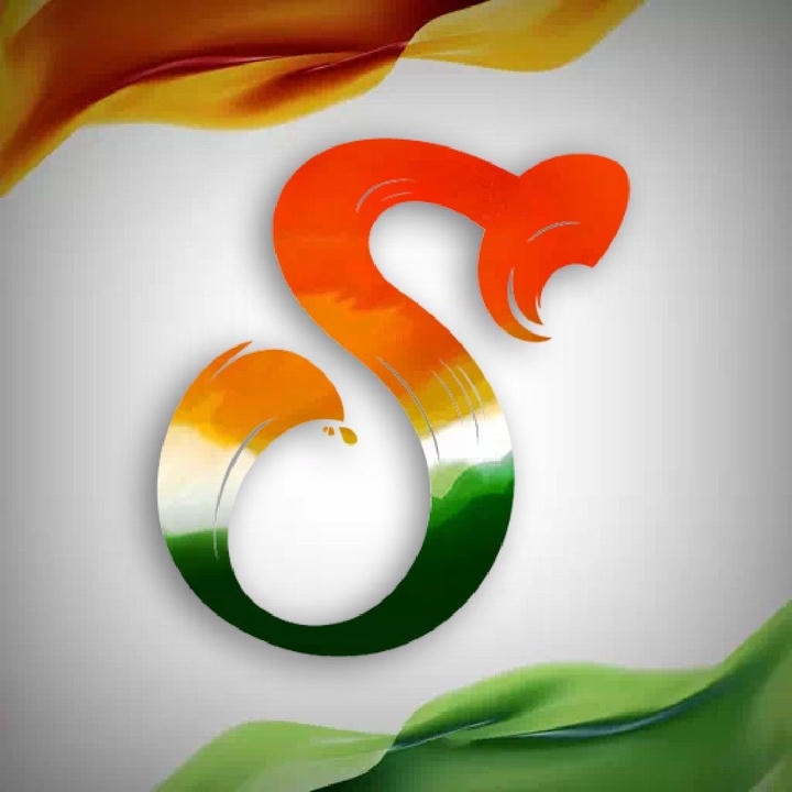 s name indian flag dp